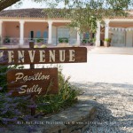 MARIAGE - PROVENCE - CHATEAU DE L'AUMERADE