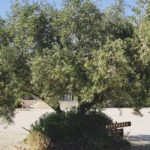 Pavillon Sully - Château de l'Aumérade - Mariage en Provence